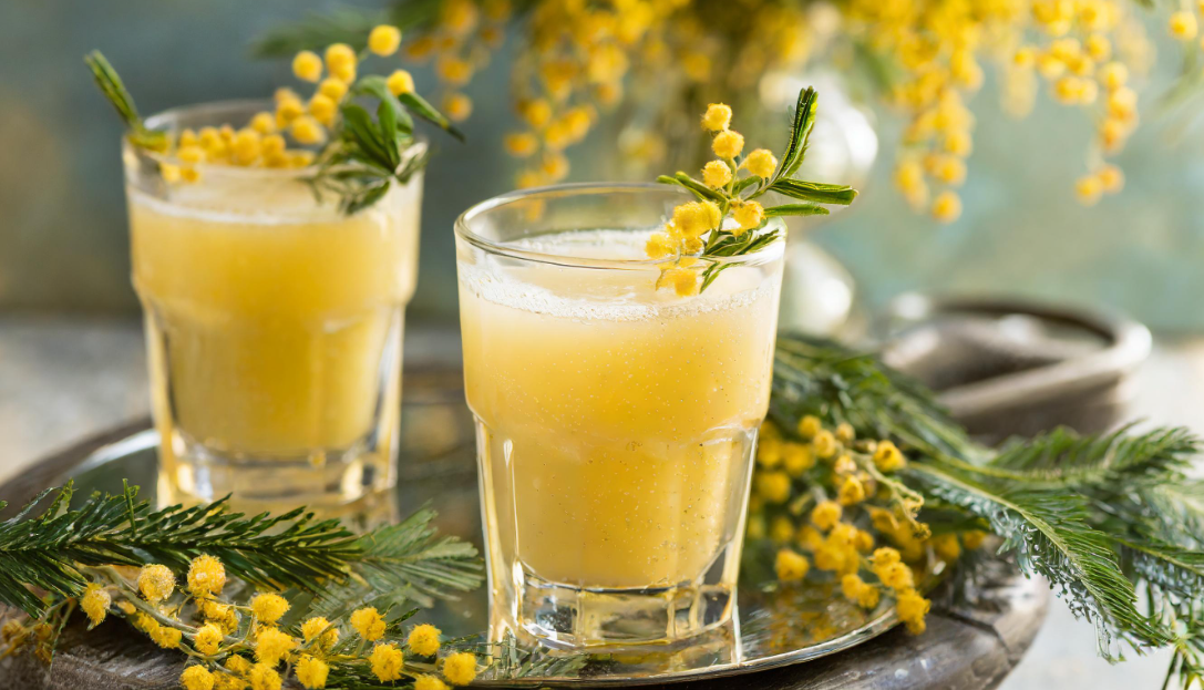 Mimosa recipe